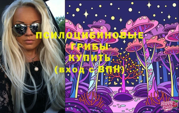крисы Баксан