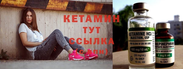 крисы Баксан
