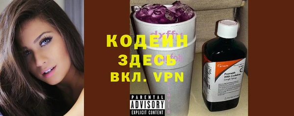 крисы Баксан