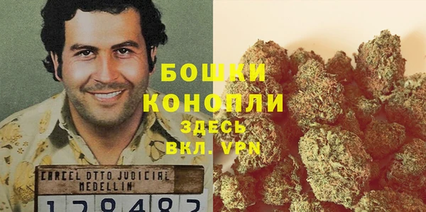 крисы Баксан