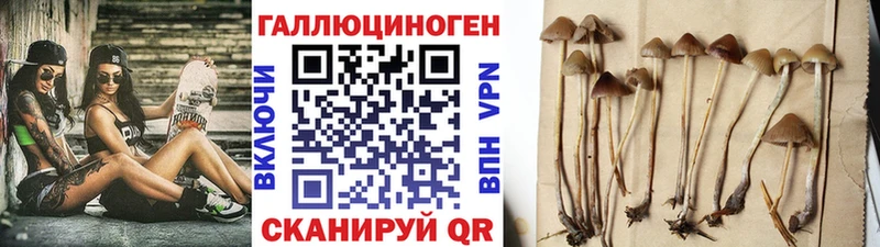 Псилоцибиновые грибы Magic Shrooms  Купить  Минеральные Воды 
